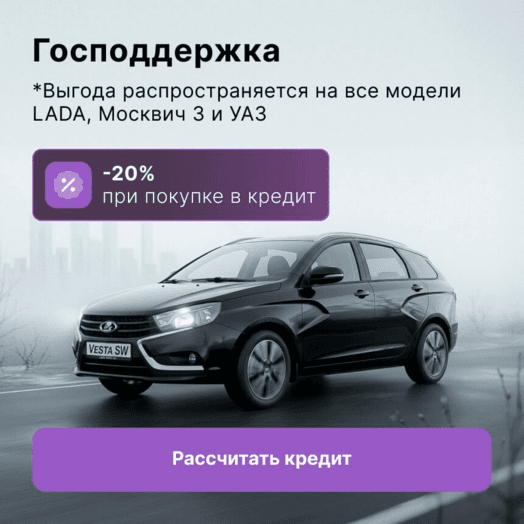 Господдержка